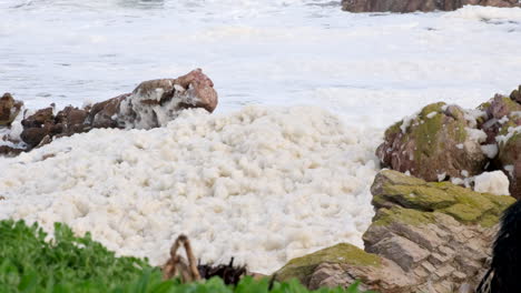 foamy cream colored spume blown onto coastline on windy day, telephoto