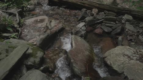 water flows over rocks and trees at wissahickon creek