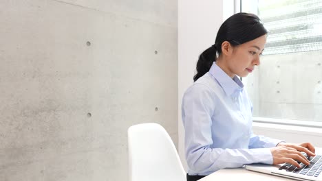 young business woman using pc