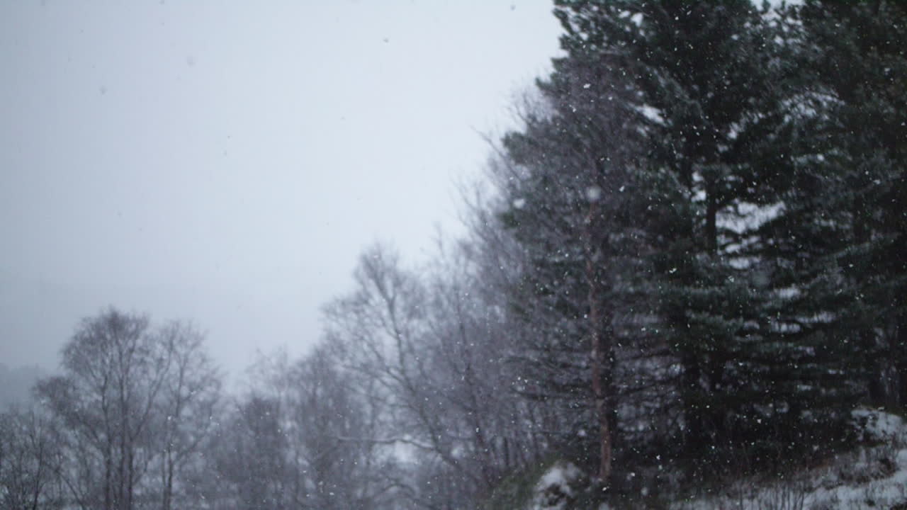 la nieve en cámara lenta en medio del día