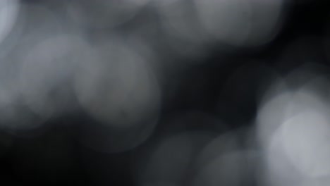 bokeh de luz abstracta sobre un fondo negro.