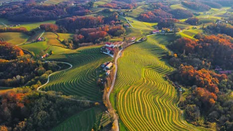 Stunning-aerial-4K-drone-footage-of-an-wine-region-of-Jeruzalem,-Slovenia