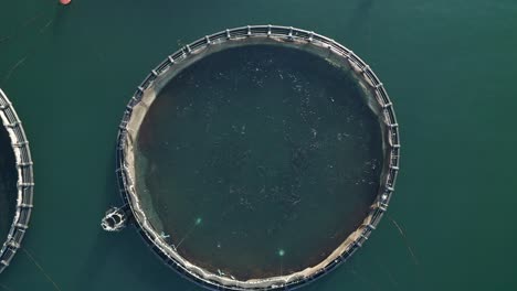 fish farm view from above.