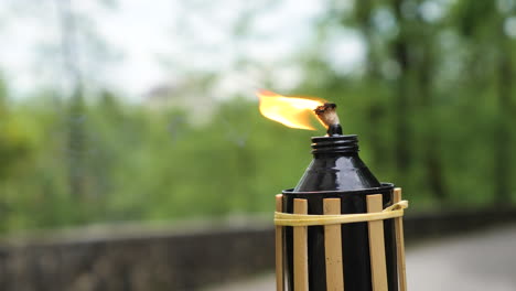 decorative tropical candle using oil fuel or kerosene