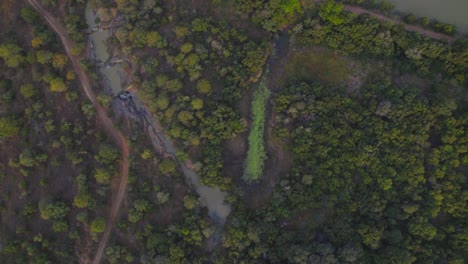 Fluss-Stürzt-Durch-Büsche-Im-Afrikanischen-Dschungel