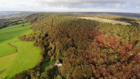 Vista-Aérea-Sobre-El-Bosque-Otoñal-Junto-A-Campos-Verdes-En-East-Hill-Devon