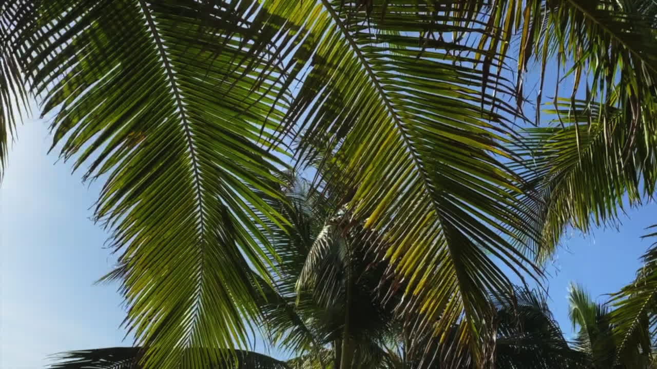 은 파란 하늘 아래의 나무