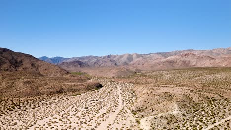 arid desert with indigenous ocotillo plants in california, usa