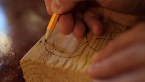 drawing a monkey tail with a pencil on a block of wood