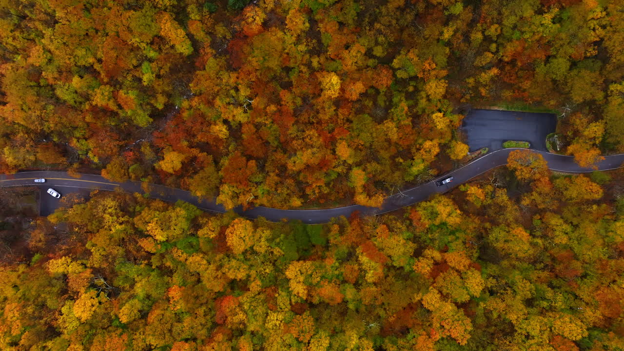 Two cars riding by the wavy highway in the colorful forest. Top view on the woods in autumn.