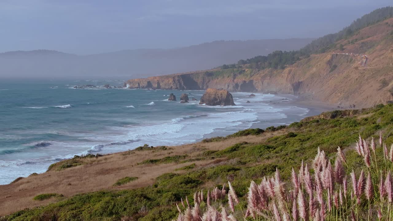 California coastal view with cliffs, flowers, and ocean vibes