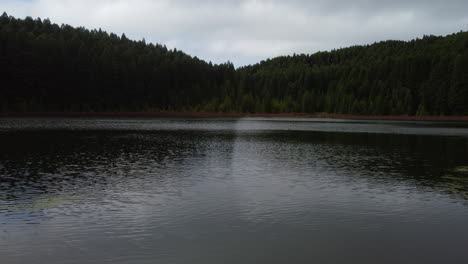 Flug-über-Den-Beeindruckenden-See-Und-Den-üppigen-Wald-Von-Lagoa-Do-Canario