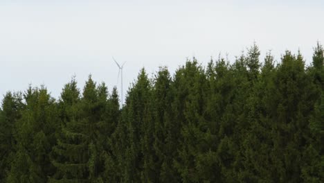 un molino de viento detrás de un bosque verde en la alemania rural