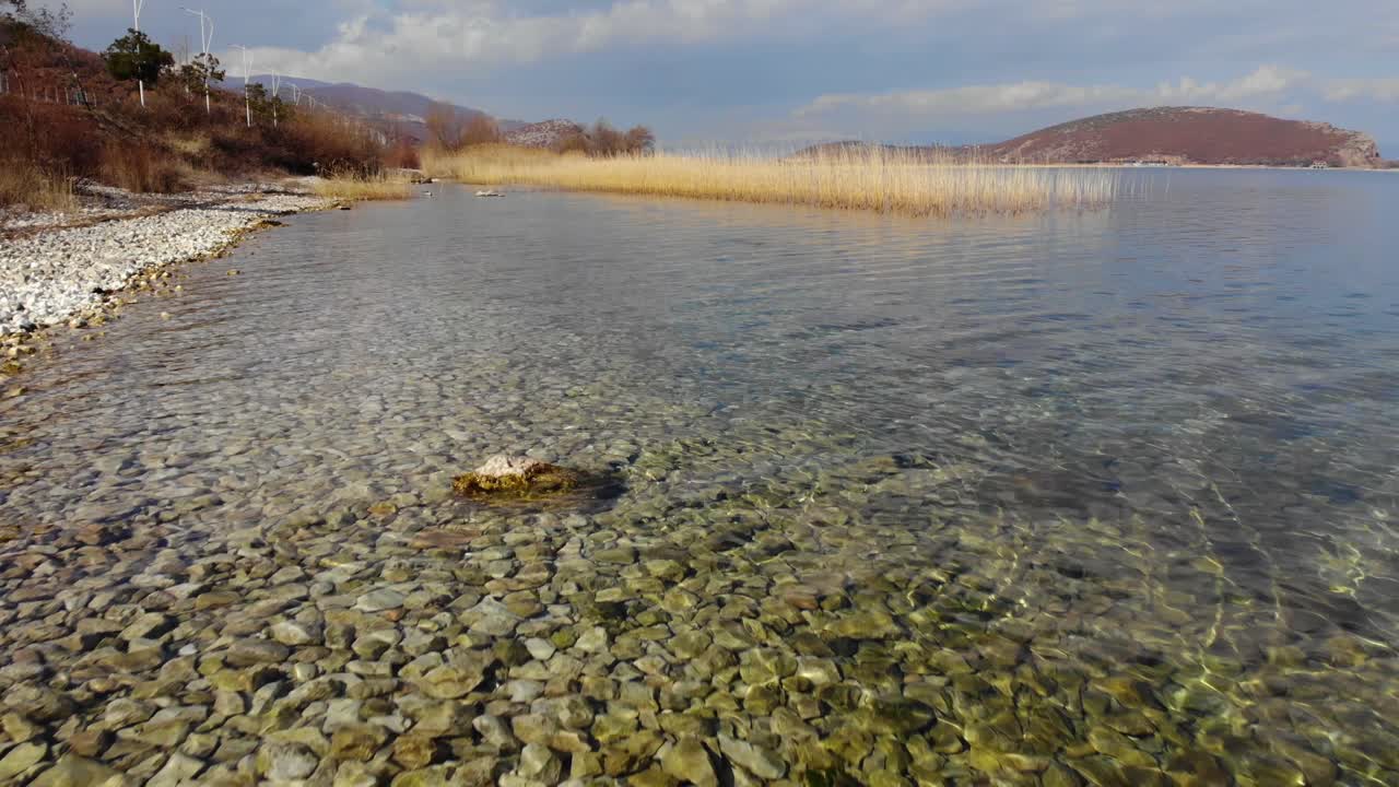 맑은 물과 마른 노란 갈대가 있는 아름다운 호수 기슭의 자갈