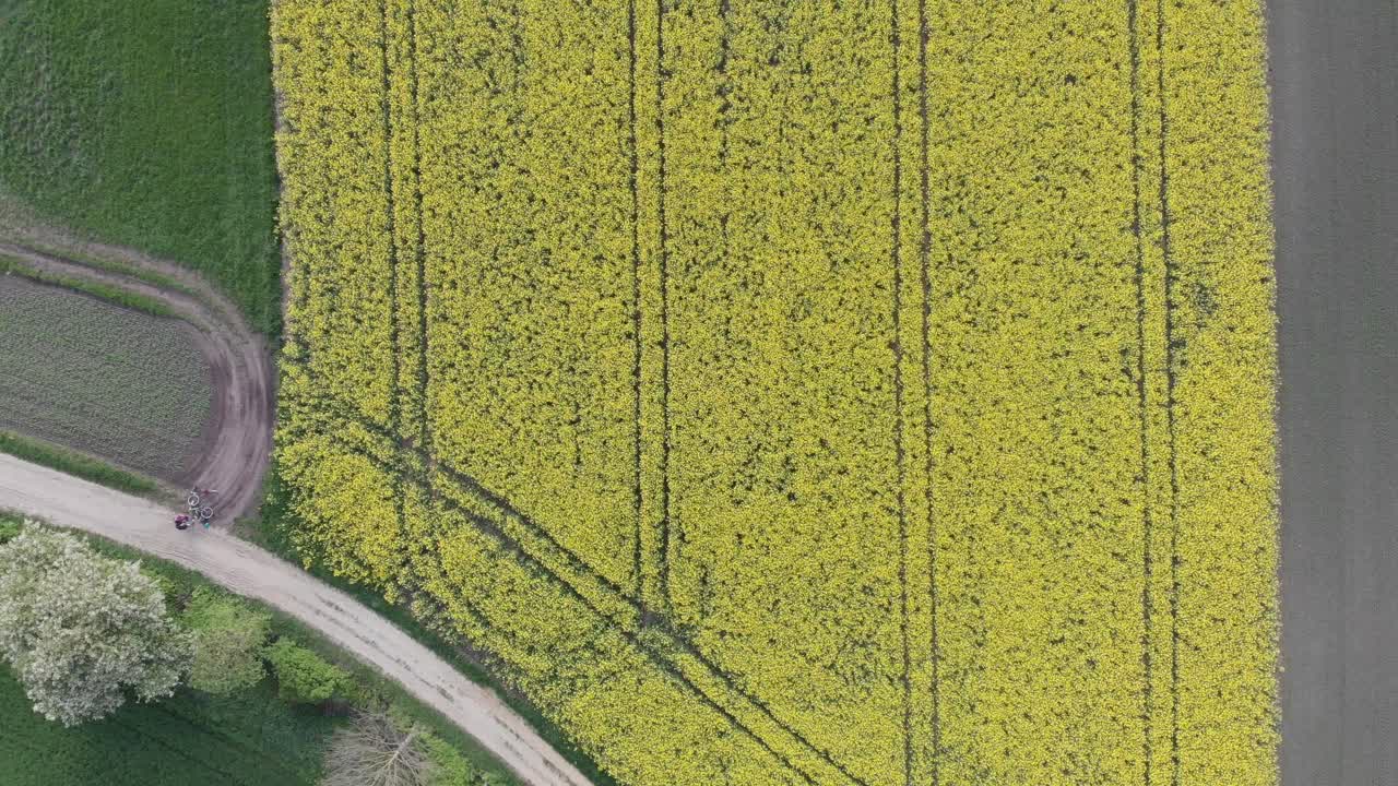 4k 30fps로 만든 드론으로 독일 뮌헨의 페링가제 호수