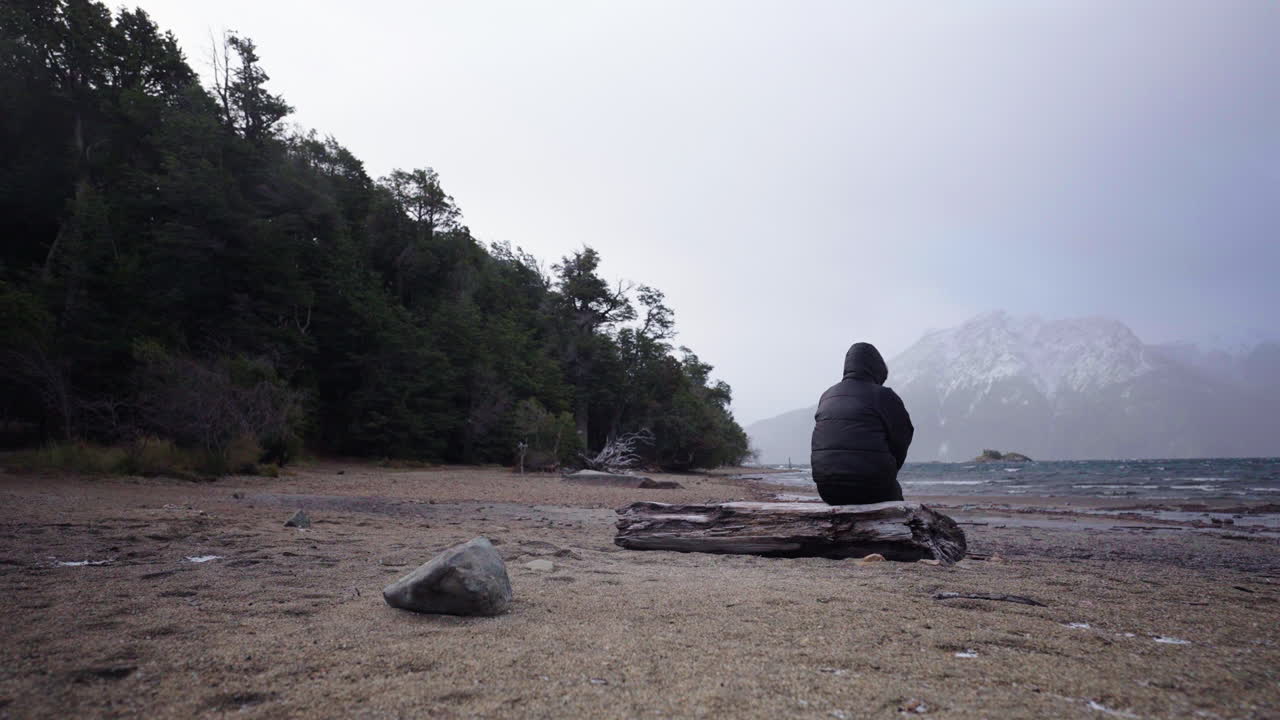 Static shot holds on despondent subject with shoulders slumped as he stares at the cold expanse. Wind stirs bare trees. Perfect for grief or isolation narratives