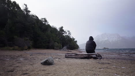 static shot holds on despondent subject with shoulders slumped as he stares at the cold expanse. wind stirs bare trees. perfect for grief or isolation narratives