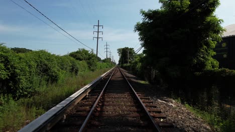 a low angle view looking straight down train tracks with green trees on either side