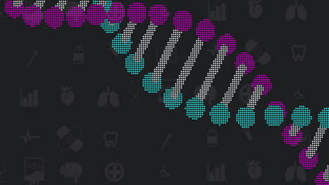 dna sequence
