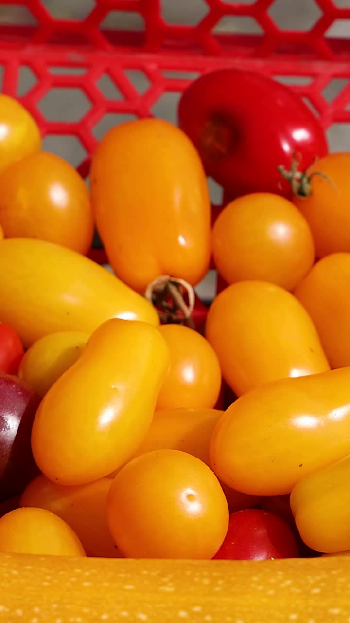 tomates vibrantes expuestos en una canasta roja