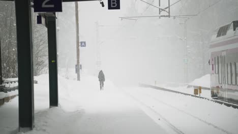 赫爾辛基火車站的暴風雪