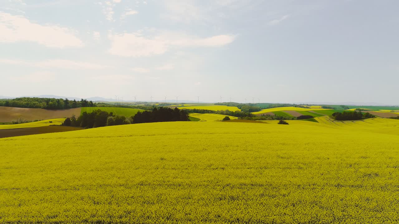 varios campos de agricultura vista aérea 3