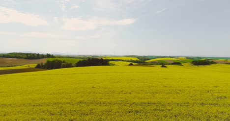 Various-Agriculture-Fields-Vista-Aérea-View-3