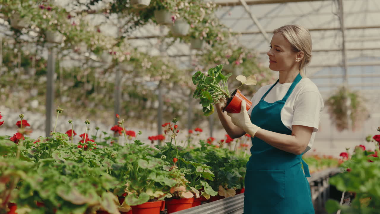 Woman tending to plants in a greenhouse