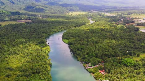 peaceful river among dense woodland at tropical forest near saint bernard village in southern leyte, philippines