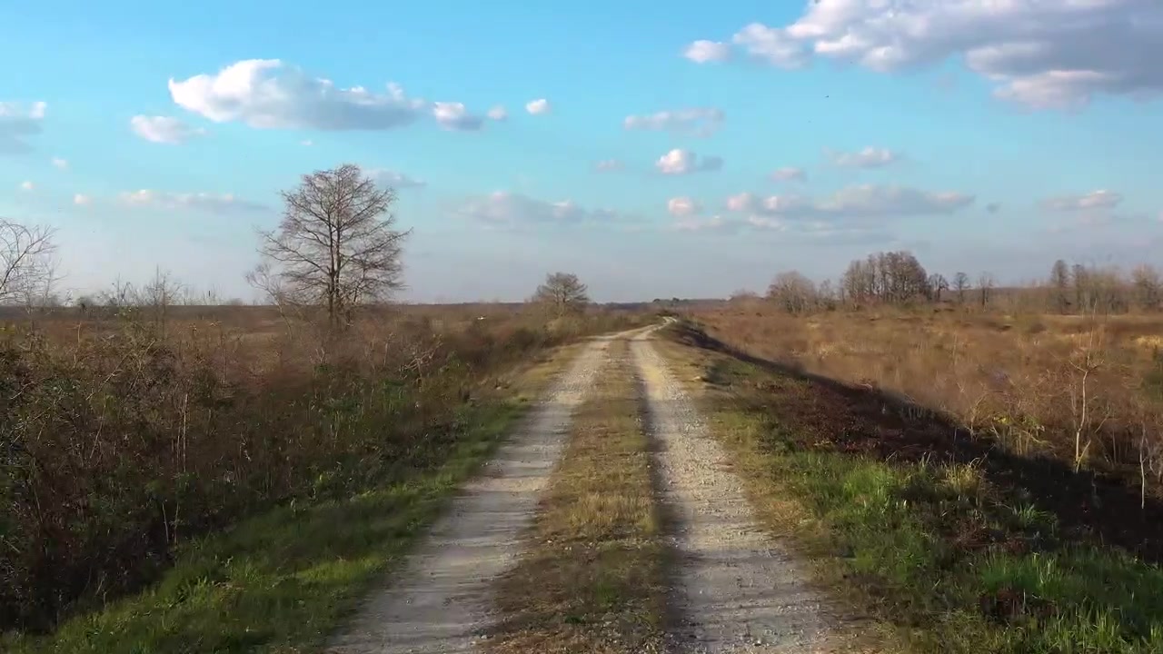 First person point of view driving slowly along a winding and bumpy gravel road through a wild marshland landscape with a beautiful blue sky and scattered clouds during a sunny day