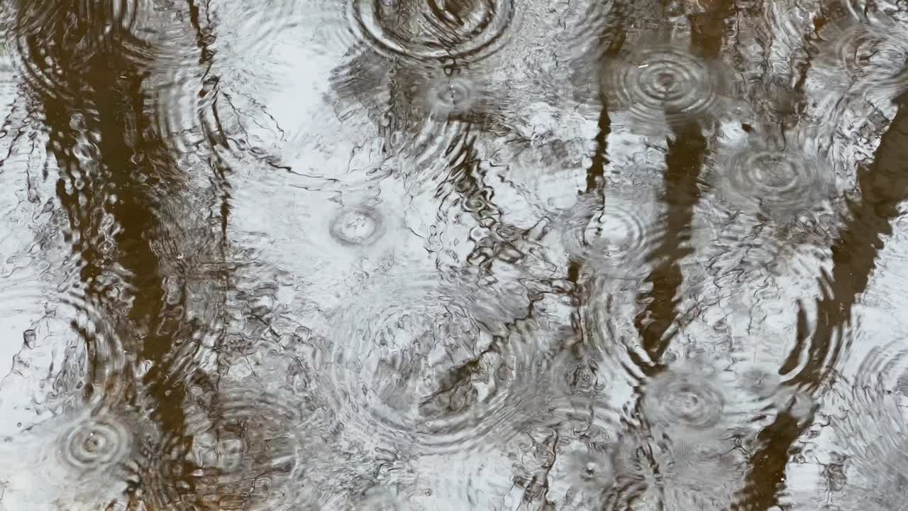 비가 오는 날 웅이의 물에 반사되는 추상적인 영상, 물의 반사 표면, 미세파, 물의 질감, 아무도