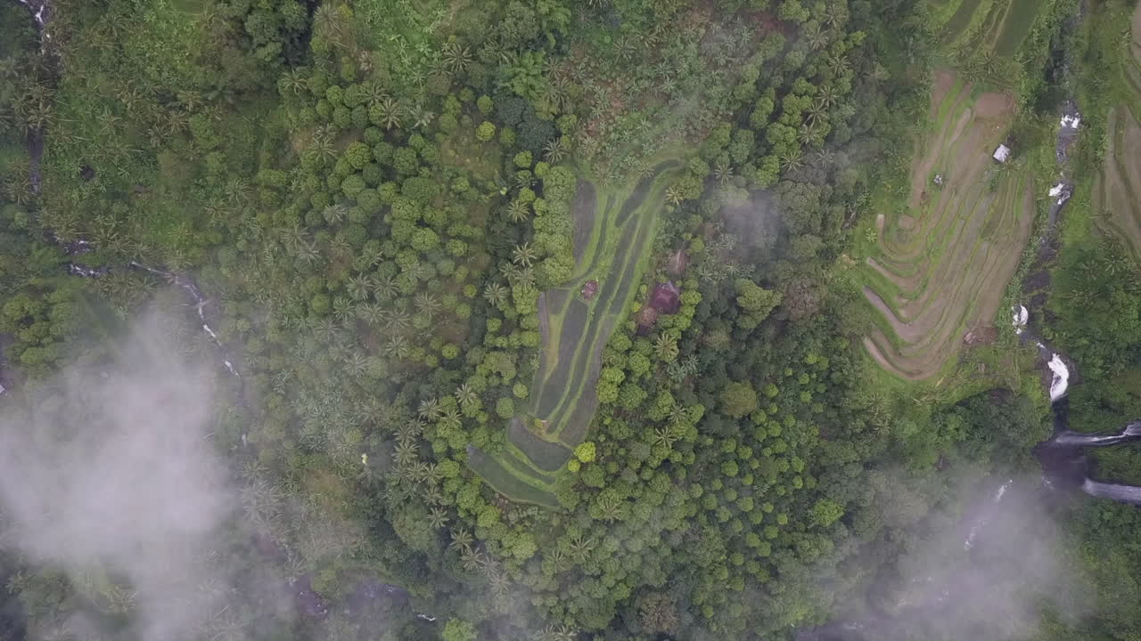 vista de pájaro de las terrazas de arroz en las laderas de