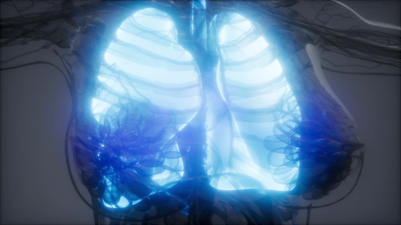 examen radiológico de los pulmones humanos