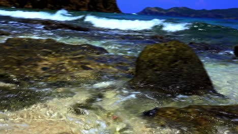 sea turtle sweeps by the ocean waves