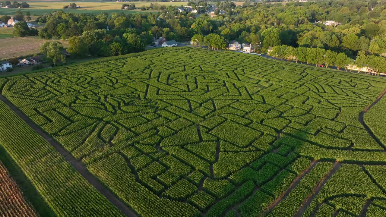 vista aérea de un laberinto de maíz con intrincados caminos en un exuberante campo de maíz verde al atardecer a finales del verano en los estados unidos rurales