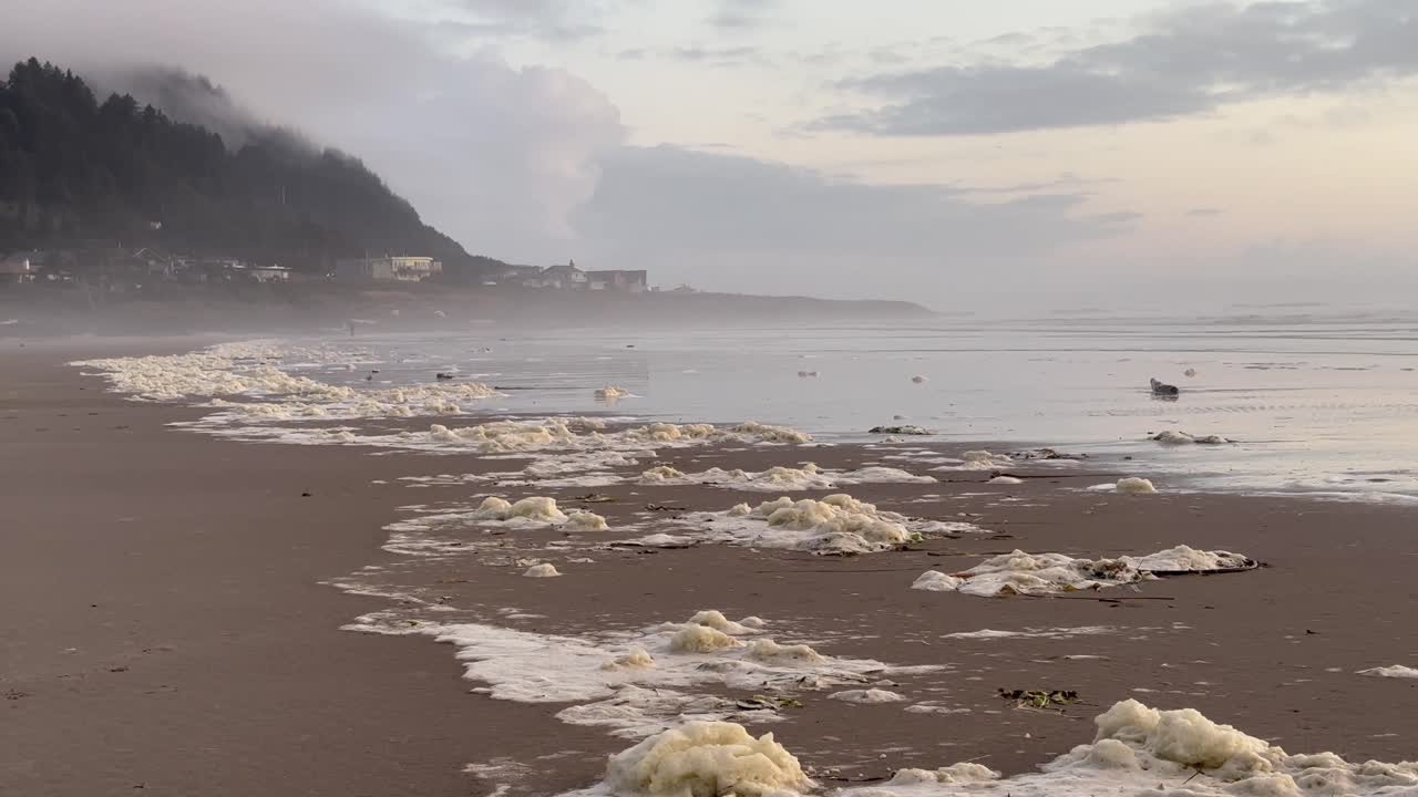 Seafoam piled on the Oregon coast's sandy beaches on a misty morning