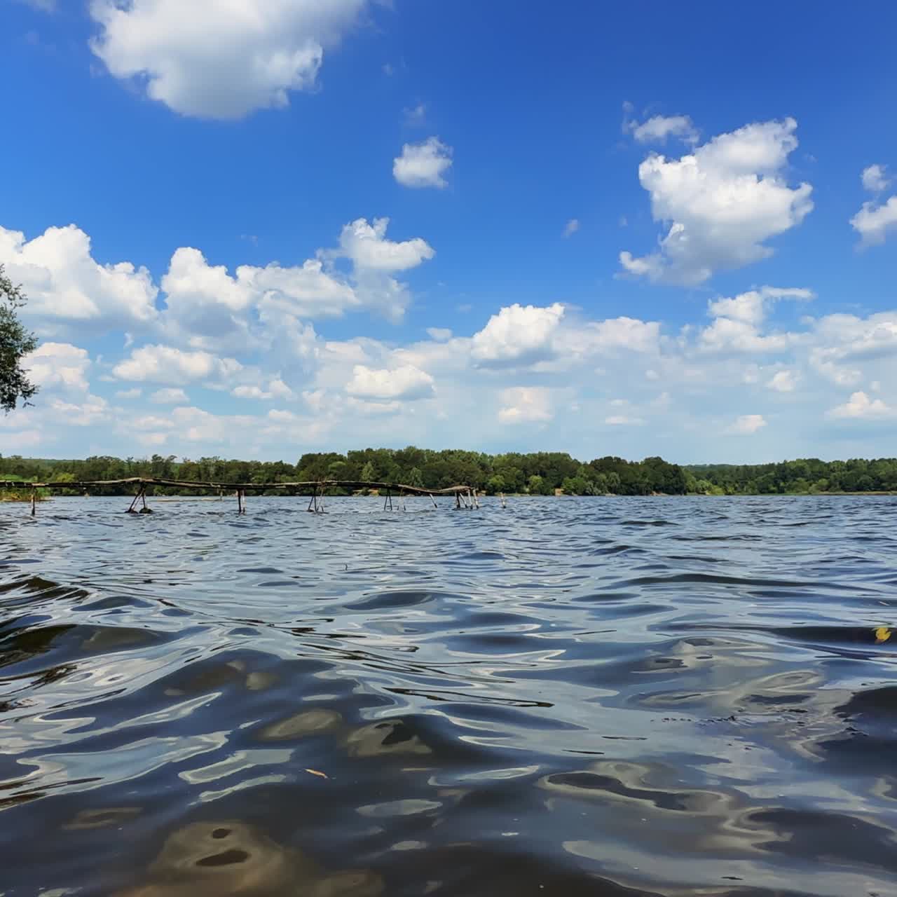 Wavy surface of river with some leaves floating on. Trees on the waterfront at backdrop of blue sky with white clouds