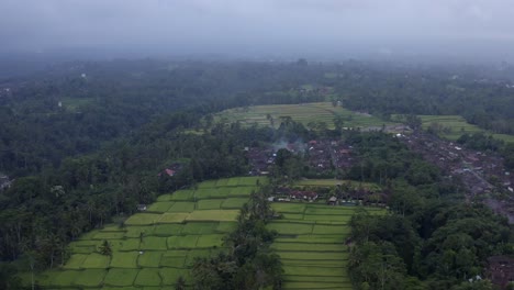vista desde un avión no tripulado de las terrazas de arroz de tegallalang en bali