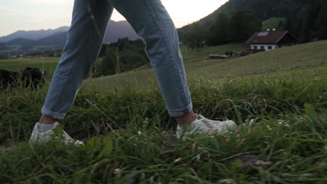 person walking on a path in the mountains surrounded by gras