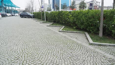 city street with cobblestone pavement and landscaping