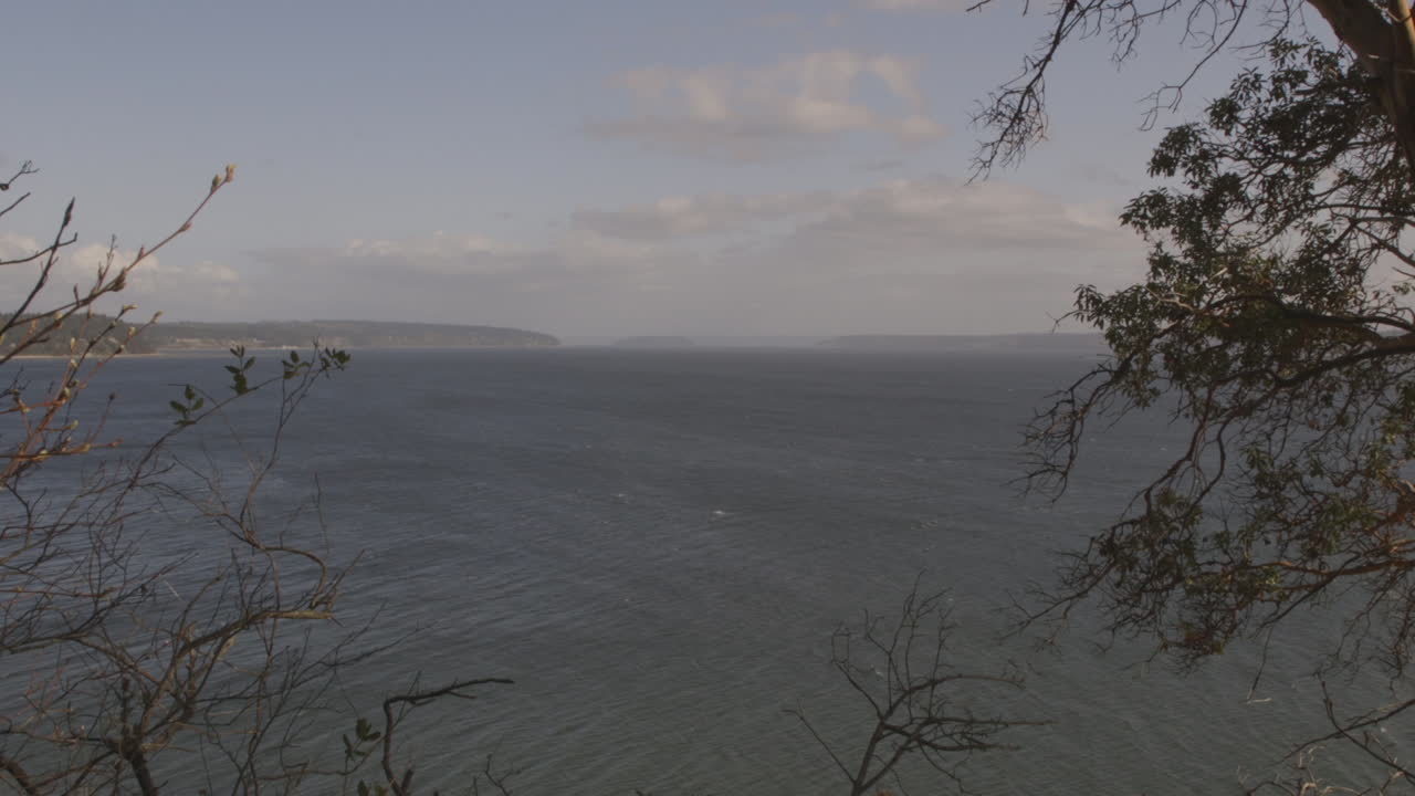 sonido de puget, estado de washington