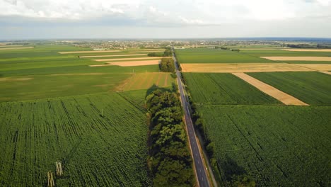 a straight road connecting two towns, crops grown between them