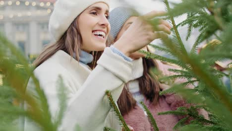 video de dos mujeres eligiendo un árbol de navidad en el mercado de navidad