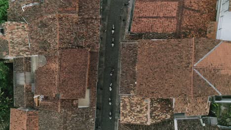 aerial footage of a group of horses in the streets of a city in minas gerais, brazil