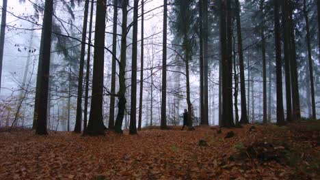 man walks on dry fallen leaves in the forest