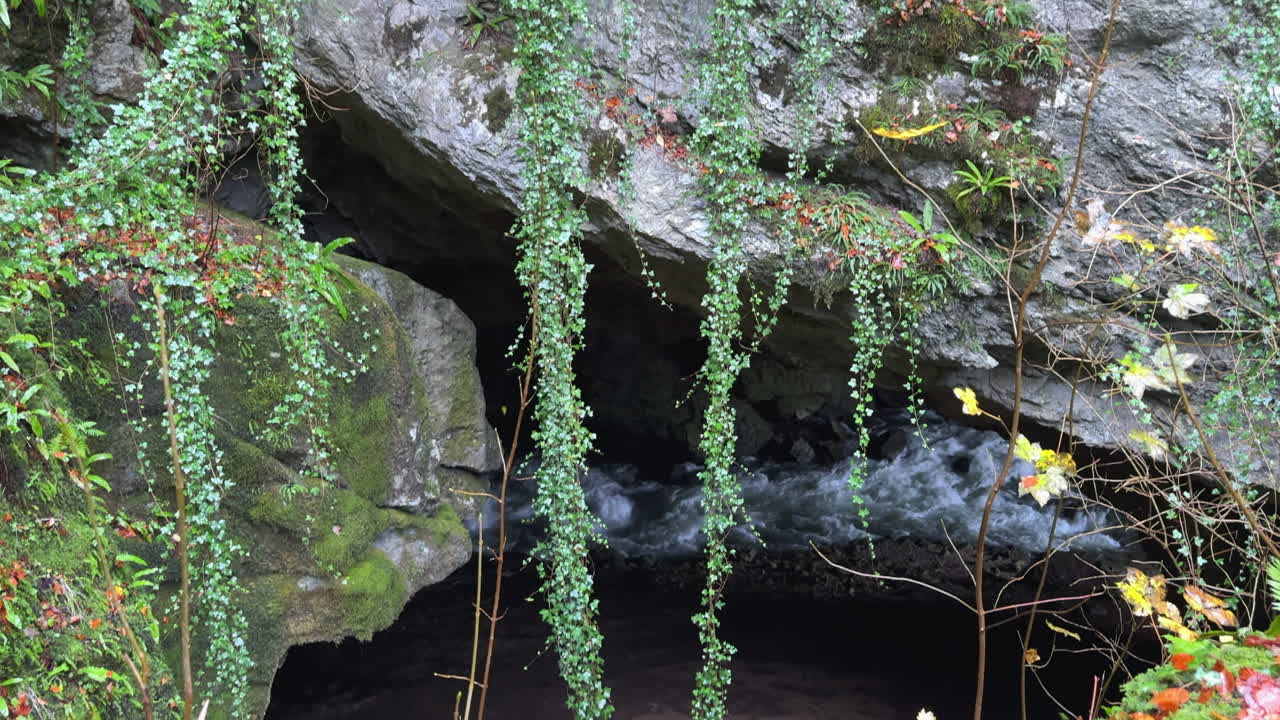 Wild Rak river flowing into Weaver Cave in Rakov Skocjan, Slovenia