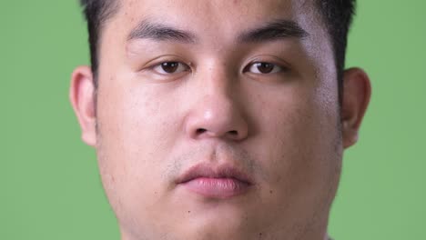 young handsome overweight asian man against green background