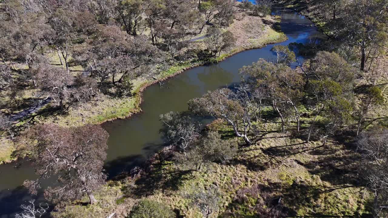 Drone footage glides above a winding stream surrounded by dense trees and bushland in Ebor, New South Wales, under clear daylight conditions