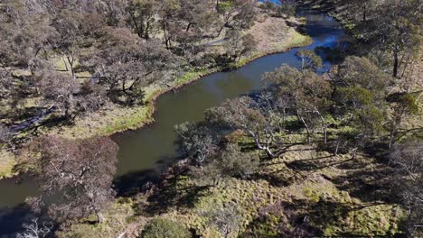 drone footage glides above a winding stream surrounded by dense trees and bushland in ebor, new south wales, under clear daylight conditions
