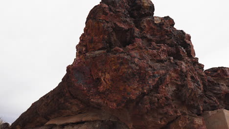 giant wood log at petrified forest national park in arizona, dolly track shot